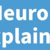 Neuron Explainer