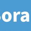 Sora2
